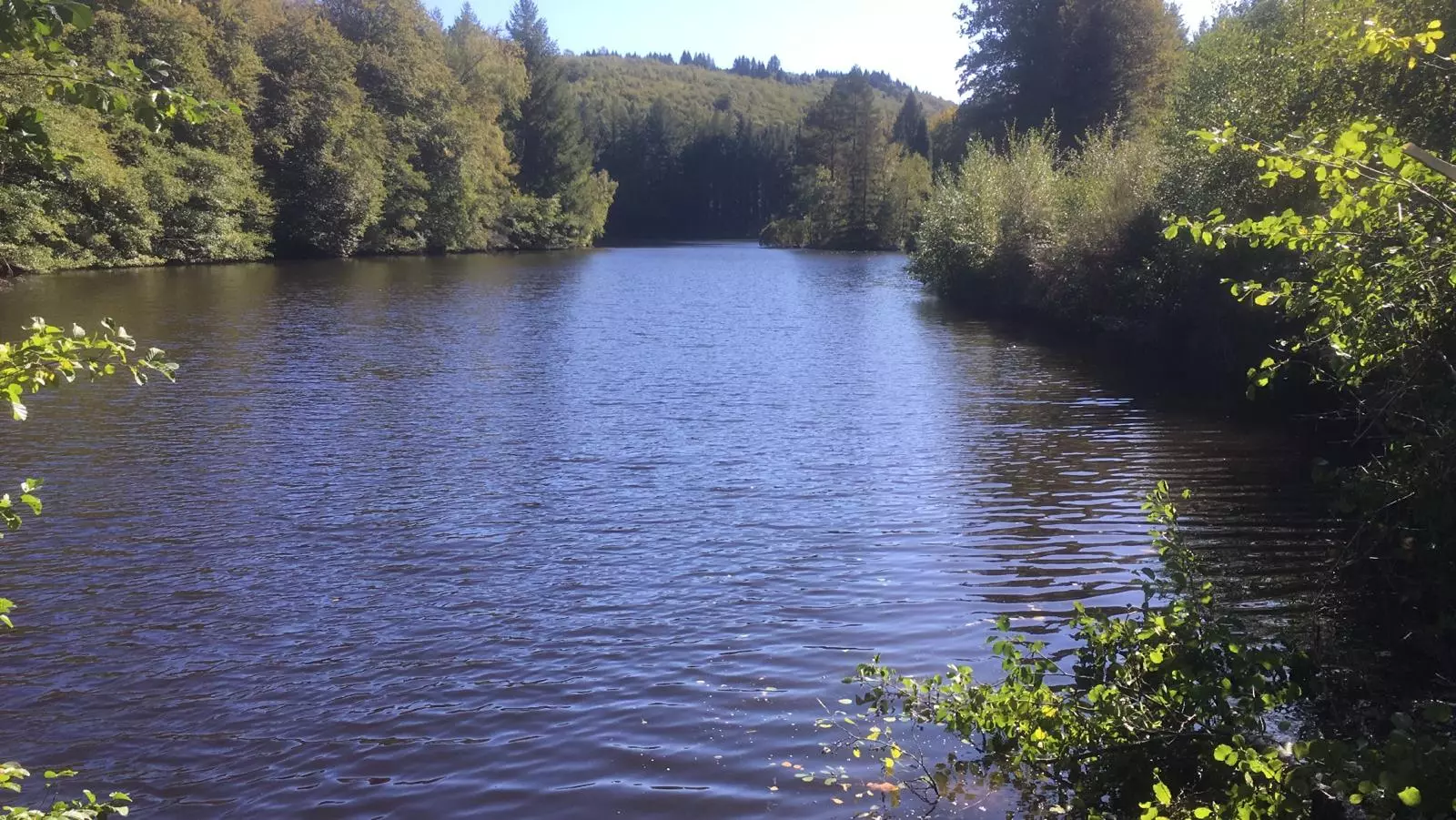 Fishing lake, carp lfishing, France lake fishing, Compreignac, woodland lake, French countryside