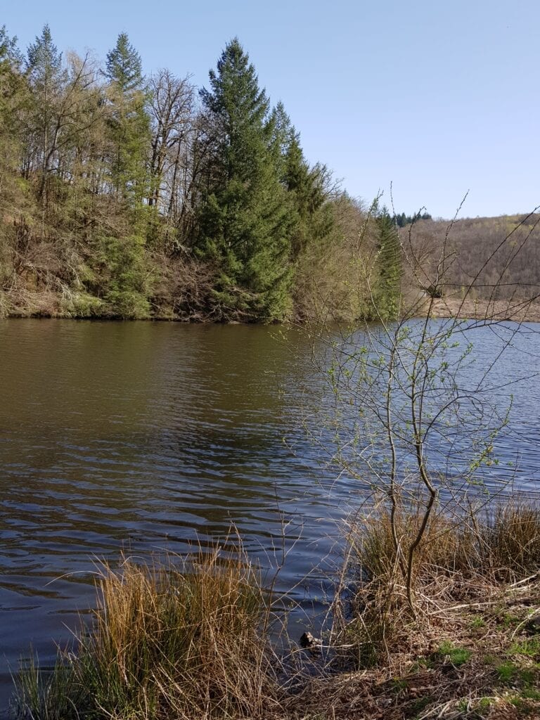 Lake view from Dam wall