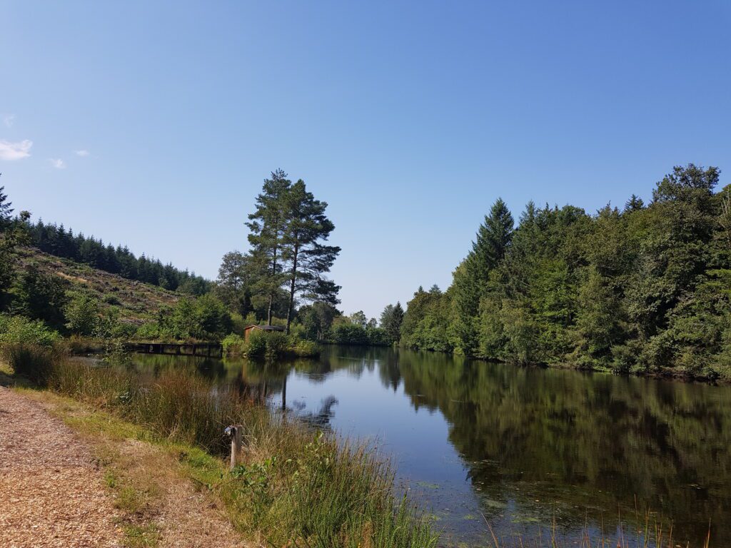 View of lake