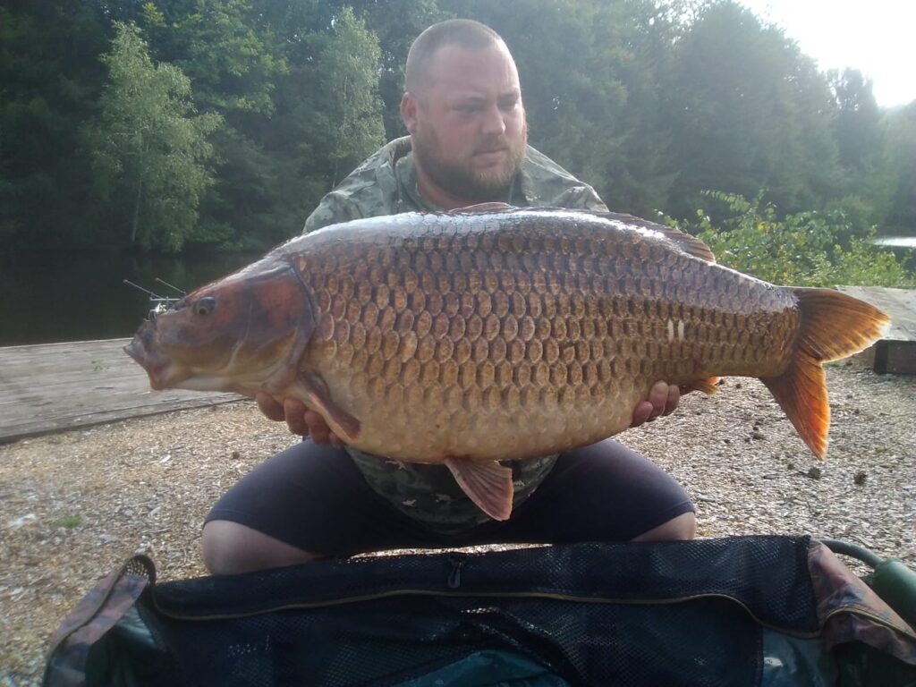 Koi Common